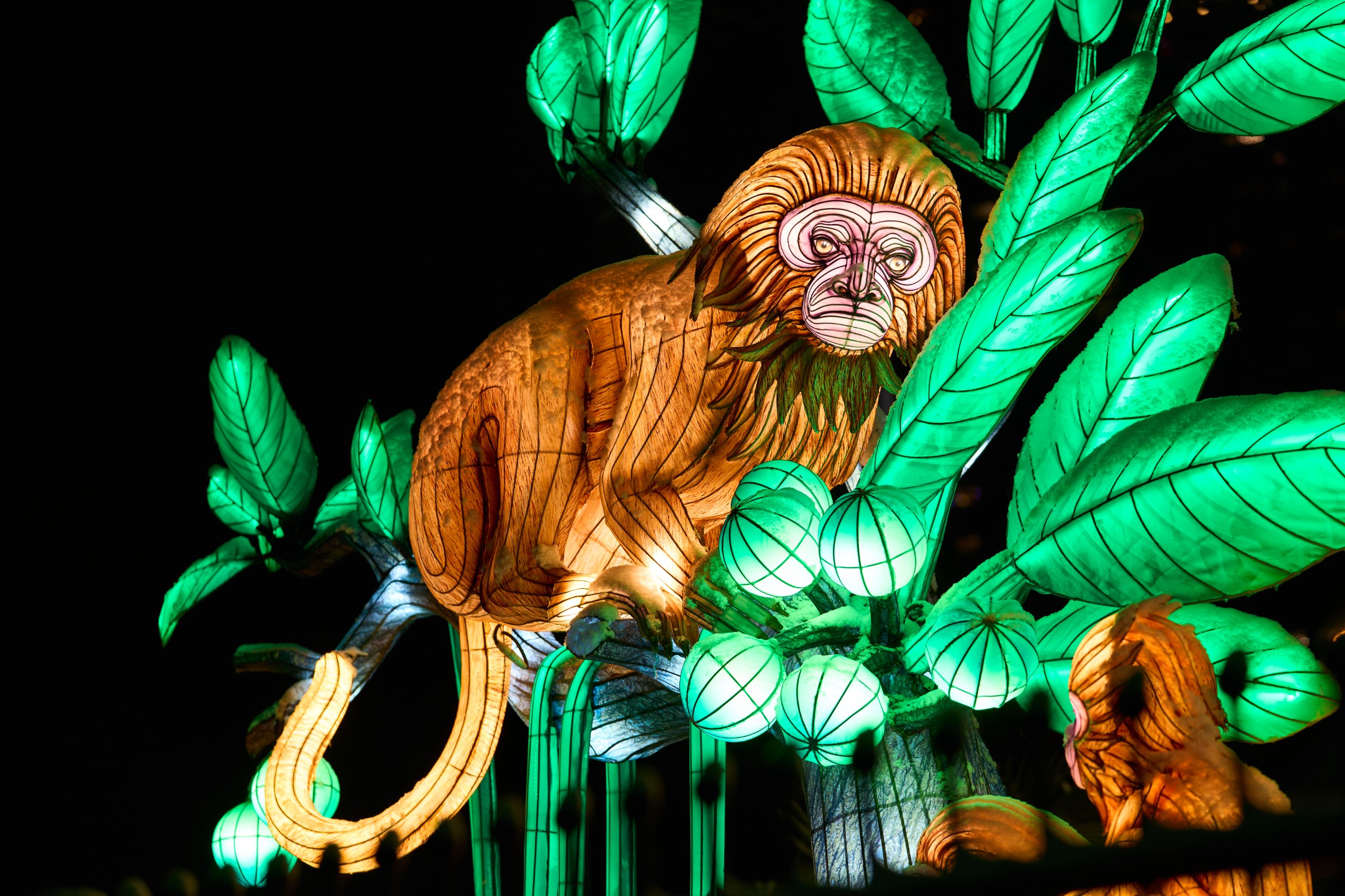 2026 01 05 China Lights 0135